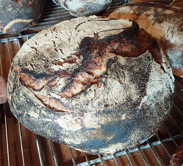 Pain de campagne type Volcan